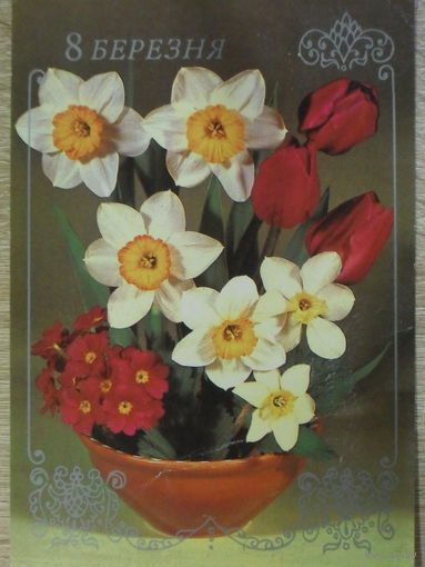 ПОДПИСАННАЯ ОТКРЫТКА СССР. "8 МАРТА". ФОТО. Б. КРУЦКО. 1983 год.