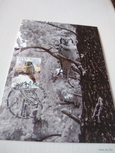 Картмаксимум совы 2007г. Беларусь.