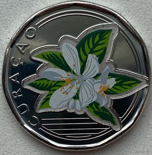 Кюрасао (Автономия в составе Нидерландов) 50 центов 2025 г. Принятие карибского гульдена. Цветное покрытие