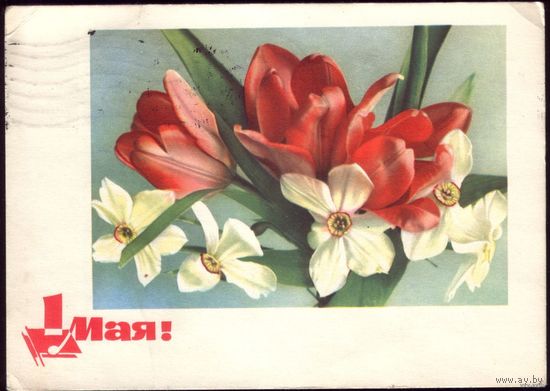 1965 год А.Шерстнёв 1 мая! 2