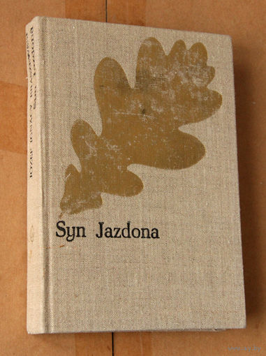 Josef Ignacy Kraszewski "Syn Jazdona" (па-польску)