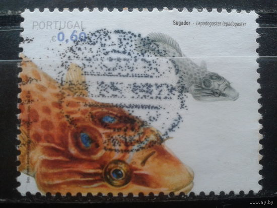 Португалия, 2006. Рыба