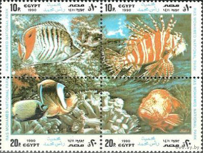 Египет 1990 Фауна. Рыбы. Квартблок