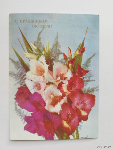 С праздником Октября! Фото И. Дергилева 1989 год, чистая