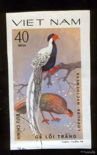Серия 8 марок. Фазаны и павлины. Вьетнам. Беззубцовки. 1979 год.