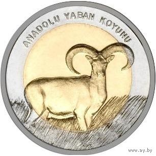 Турция 1 лира, 2015 Муфлон UNC