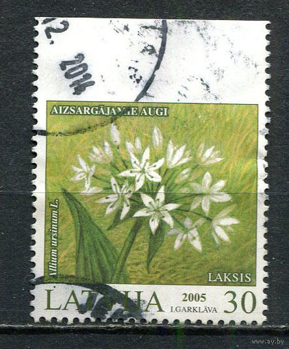 Латвия - 2005 - Цветы 30S - [Mi.632Do] - 1 марка. Гашеная.  (Лот 6HY)-TG3P47