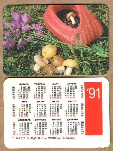 Календарь Грибы 1991