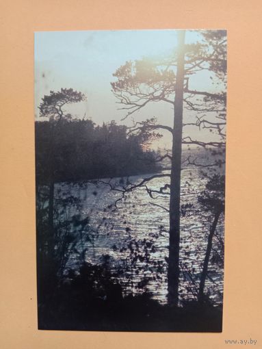 Открытка,1985