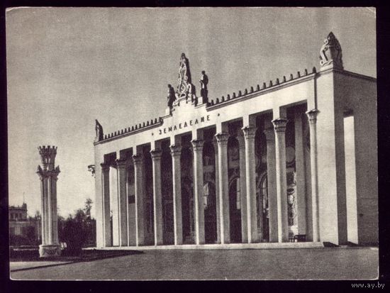 1954 год Москва Павильон Земледелия