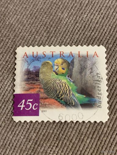 Австралия 2001. Попугаи. Budgerigaf. Марка из серии
