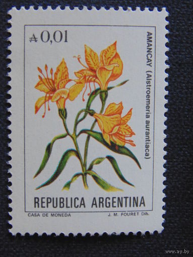 Аргентина. Цветы.