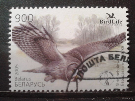 2005 Неясыть