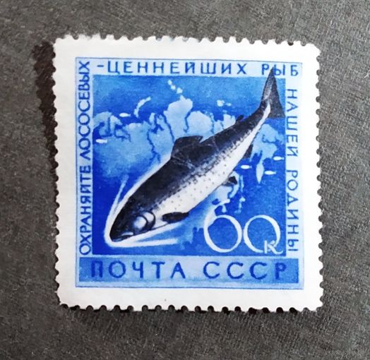 Марка СССР 1960 год Рыба