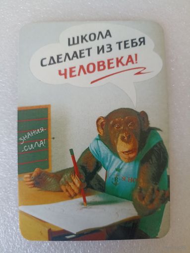 Школа, Животные, Обезьяны, 2001 год. Карманные календарики, Календарик, Календарь