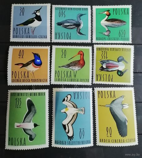 Польша 1964 птицы