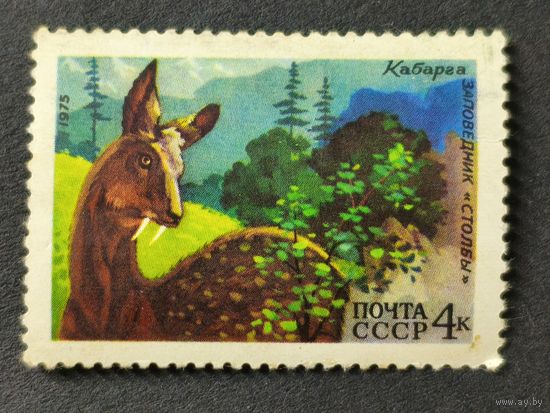 1975 СССР. Животный мир СССР. Сибирская кабарга