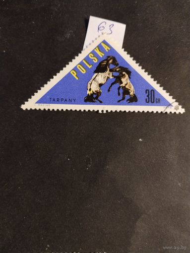 Польша 1963 лошади