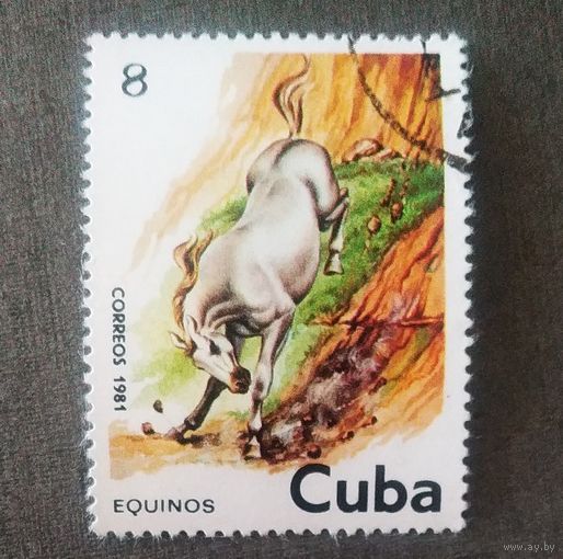 Марка Куба 1981 Лошадь