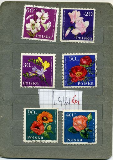 ПОЛЬША, 1964,  ЦВЕТЫ, 6м (на "СКАНЕ" справочно приведены номера и цены по  Michel)