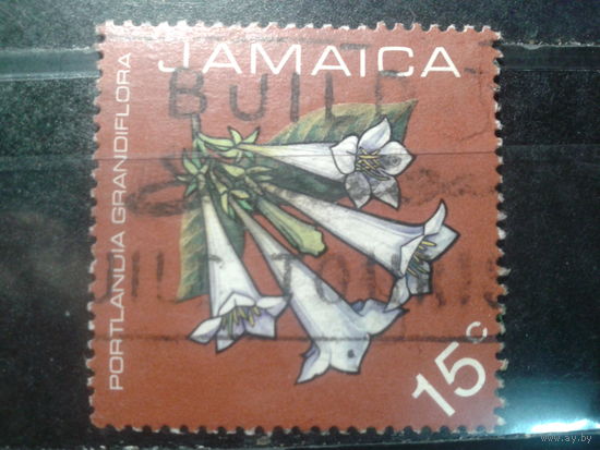Ямайка, 1973. Портландия крупноцветковая