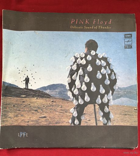 Двойная грампластинка Pink Floyd