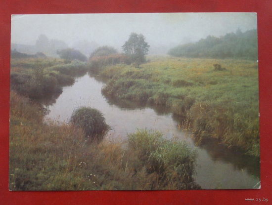 Утро. Чистая. 1984 года. Фото Дорожинского. 1541.