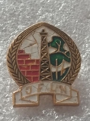 Молодёжный фронт национального освобождения Алжира