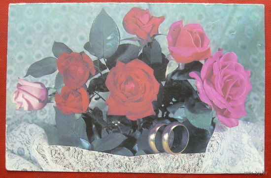 Приглашение. Чистая. Двойная. 1980 года. Фото Круцко. *347.
