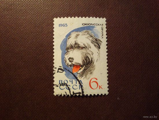СССР 1965 г.Южнорусская овчарка./31а/