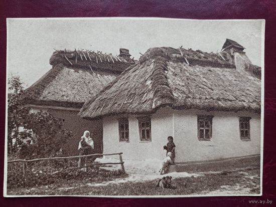 Открытки. Украина. Улица в селе. Украина. Избы.