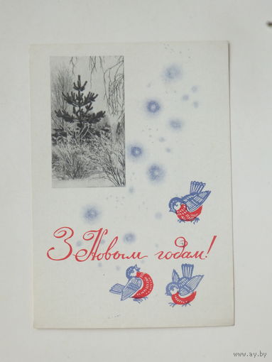 Круглов  с новым годом 1967  10х15 открытка БССР