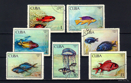 1969 Куба. Рыбы