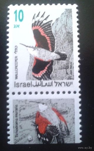 1992 Израиль 1248 Певчие птицы фауна **
