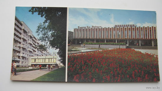 - Брест 1981 г.