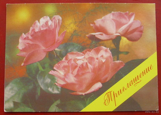 Приглашение. Чистая. Двойная. 1988 года. Круцко. 806.
