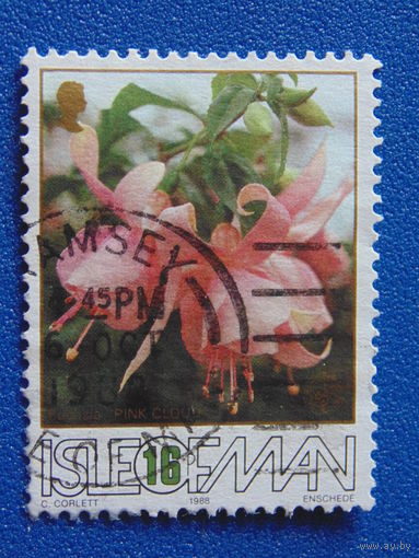 Остров Мэн 1988 г. Цветы.