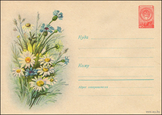 Художественный маркированный конверт СССР N 638 (31.01.1958) Рисунок букета из ромашек и васильков