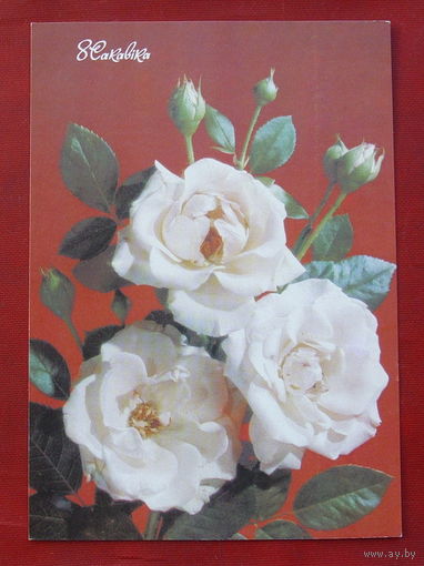 8 сакавiка! Чистая. 1990 года. Дергилева. *11.