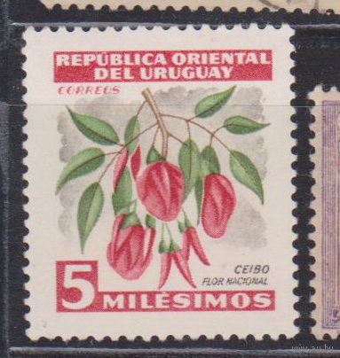 Флора цветы Уругвай  1954 год лот 10  ЧИСТАЯ