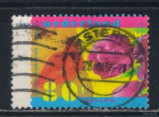 Нидерланды 1996 Тюльпаны #1567