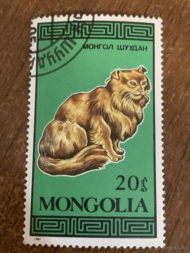 Монголия 1987. Породы домашних кошек. Марка из серии