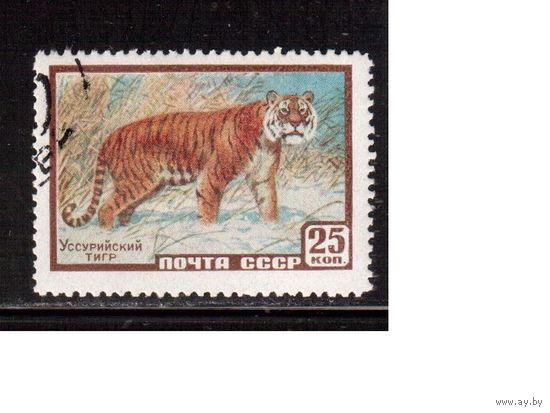 СССР-1959, (Заг.2241)  гаш.  ,Фауна, Тигр