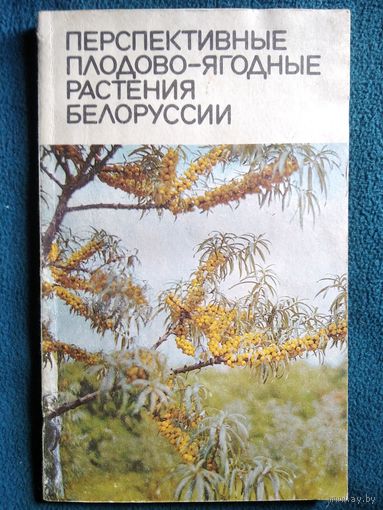 Перспективные плодово-ягодные растения Белоруссии