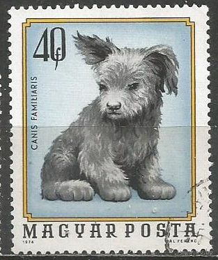 Венгрия. Собака домашняя. 1974г. Mi#3007.