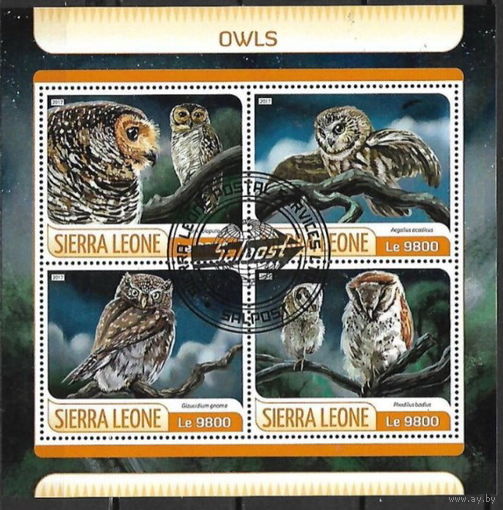 ЛИСТ ФАУНА ПТИЦЫ  СТО