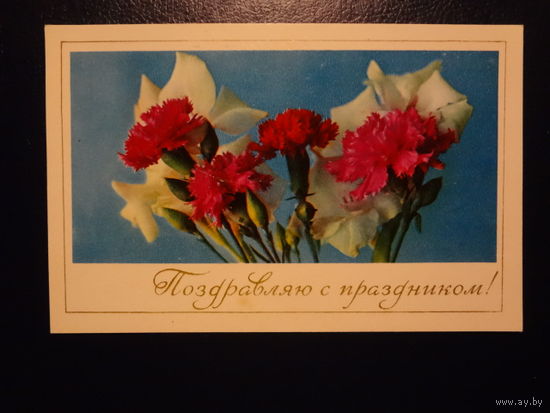 Поздравляю с праздником! Цветы. 1971 г. подписанная.