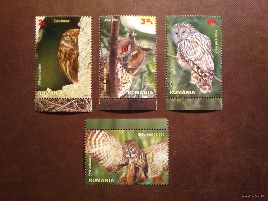Румыния 2013 г.Ночные хищные птицы./1б/