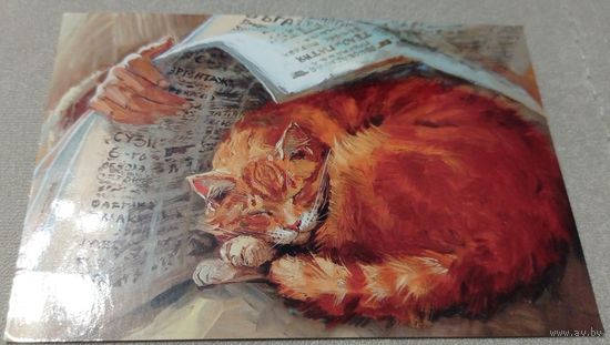 Посткроссинг. Открытка: кот и газета, худ.М.Павлова (11,5х16,5), издательство "Речь". Прошла почту. Художественная марка. штемпель.