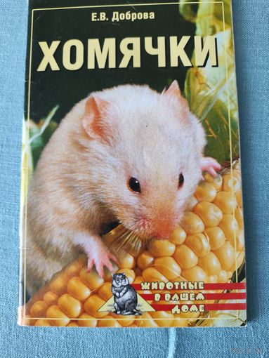 Хомячки